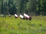 Grassy Portage
